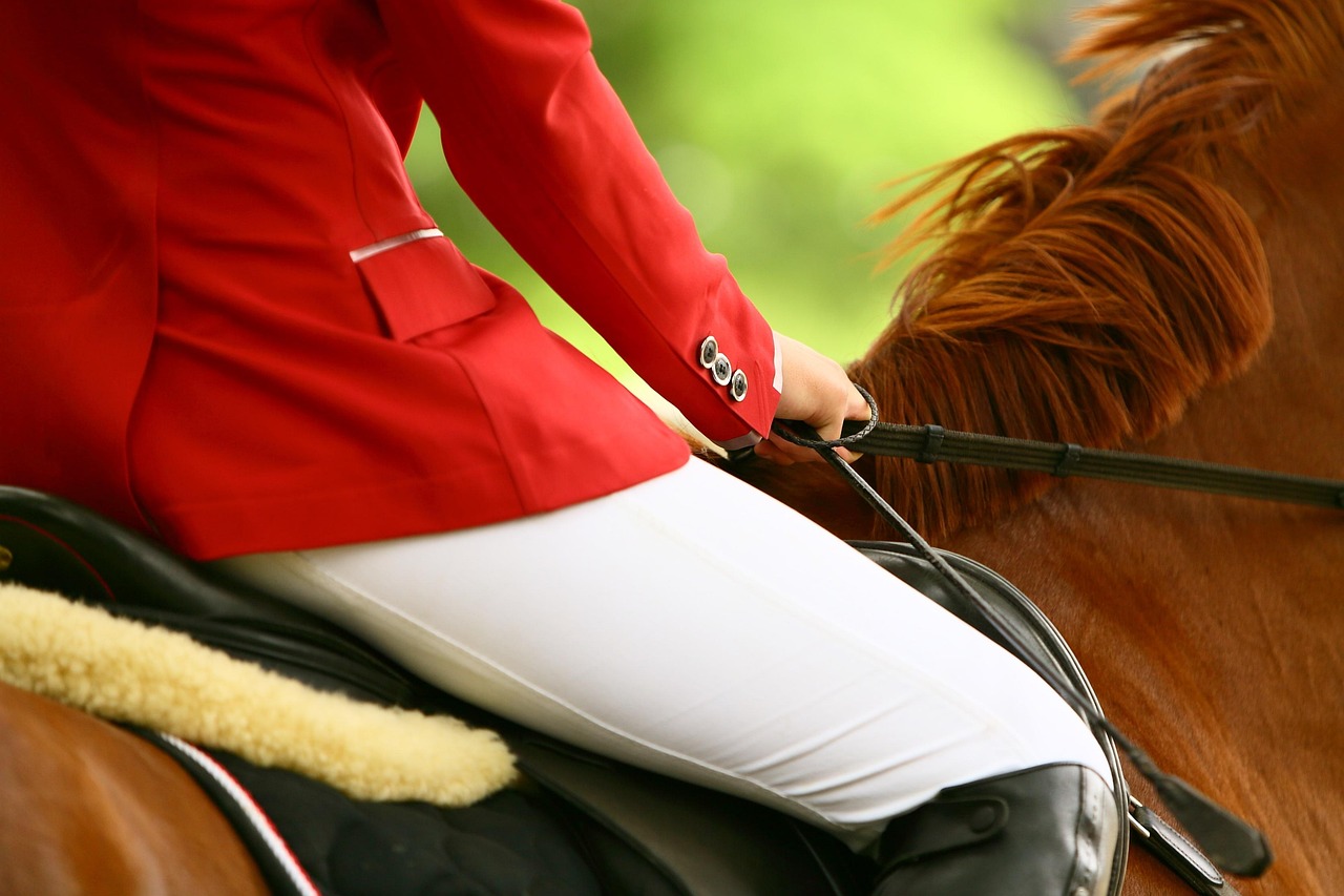 Bloodstock And Sport Horse Specialists, Australia Wide
